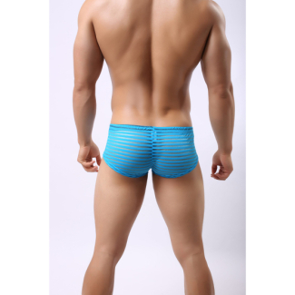 Boxer transparent rayures - REF558