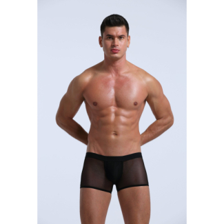 Boxer transparent - REF606