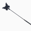 Cravache papillon
