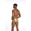 Boxer Laminé 3 coloris - REF567