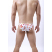 Slip/String motif feuilles d'Automne - REF908